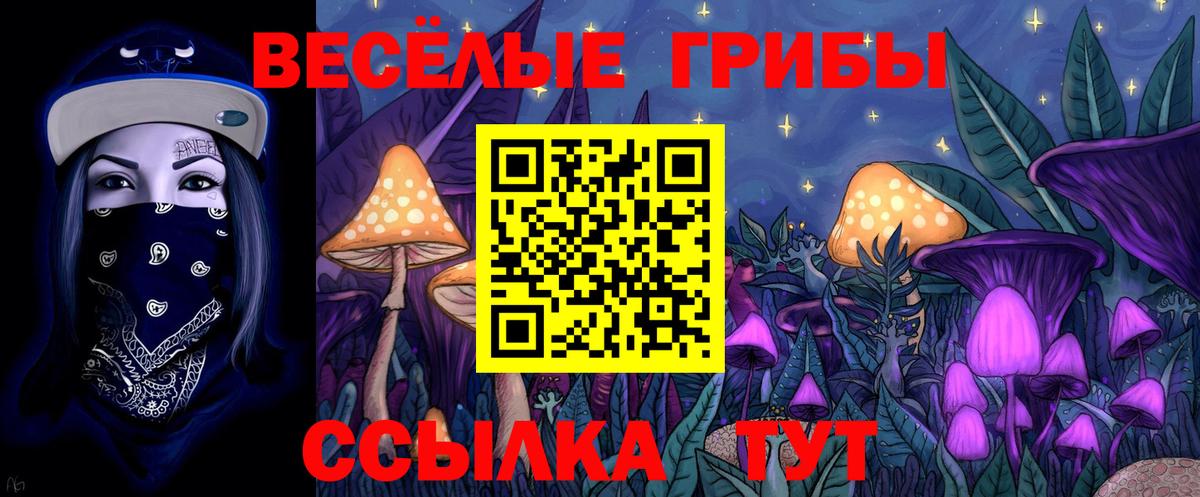 Гудермес  Псилоцибиновые грибы Magic Shrooms  Галлюциногенные грибы MAGIC MUSHROOMS  Вход с VPN 