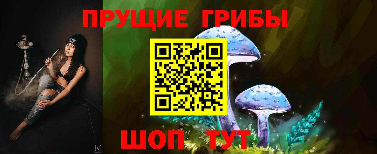 Псилоцибиновые грибы прущие грибы Гудермес
